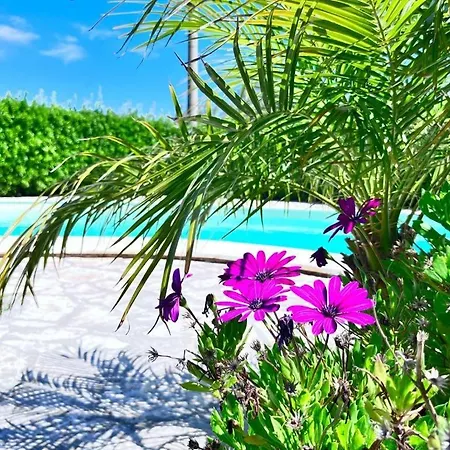 Villa Esclusiva Con Piscina Privata E Vista Mare *